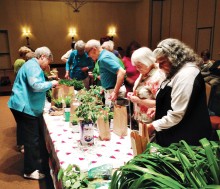 Garden Club members select a plant to “adopt.” Photo by Tom Cindric