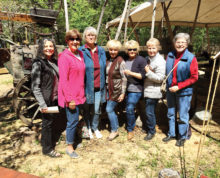 Left to right: Sue Cousin, Robbie Waits, Marnita Torres, Carol Foley, Karen Herzig, Pat Hamblin and Georgia Speers