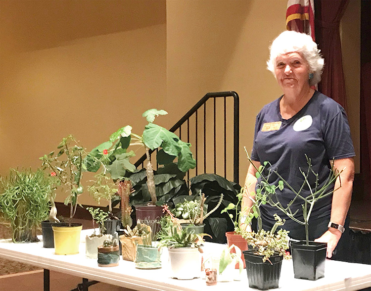 Carolyn Tinner, Denton County Master Gardener