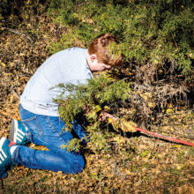 Gavin Ice, Ron’s grandson, cuts down the chosen tree for Christmas. This is what holiday photography should be.