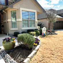 The Robson Ranch Garden Club elected Ms. Ann Roger's home at 12113 Willet Way as the February Yard of the Month. Ann does all her own front and backyard gardening. We love the rosemary plant and the pansy pot at the front door welcoming visitors.