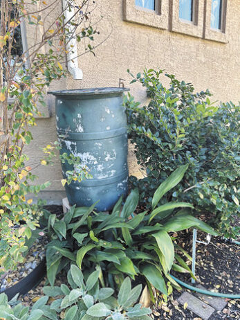 A typical rain barrel collector